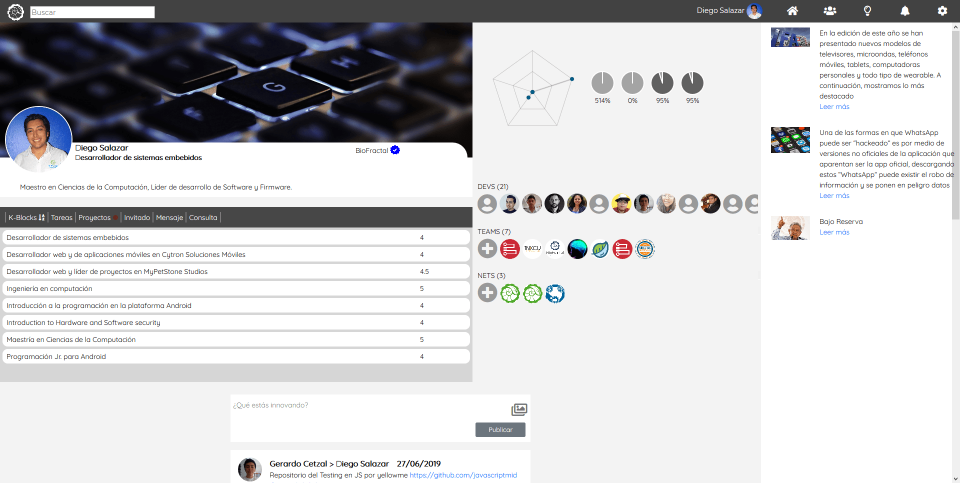Developer Profile Dashboard - Skills, Projects & Team Overview