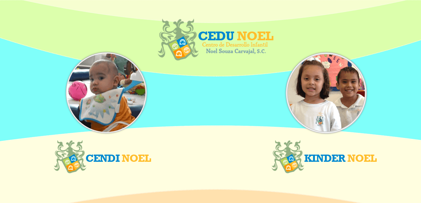 Homepage with clear hierarchy and institutional presentation.