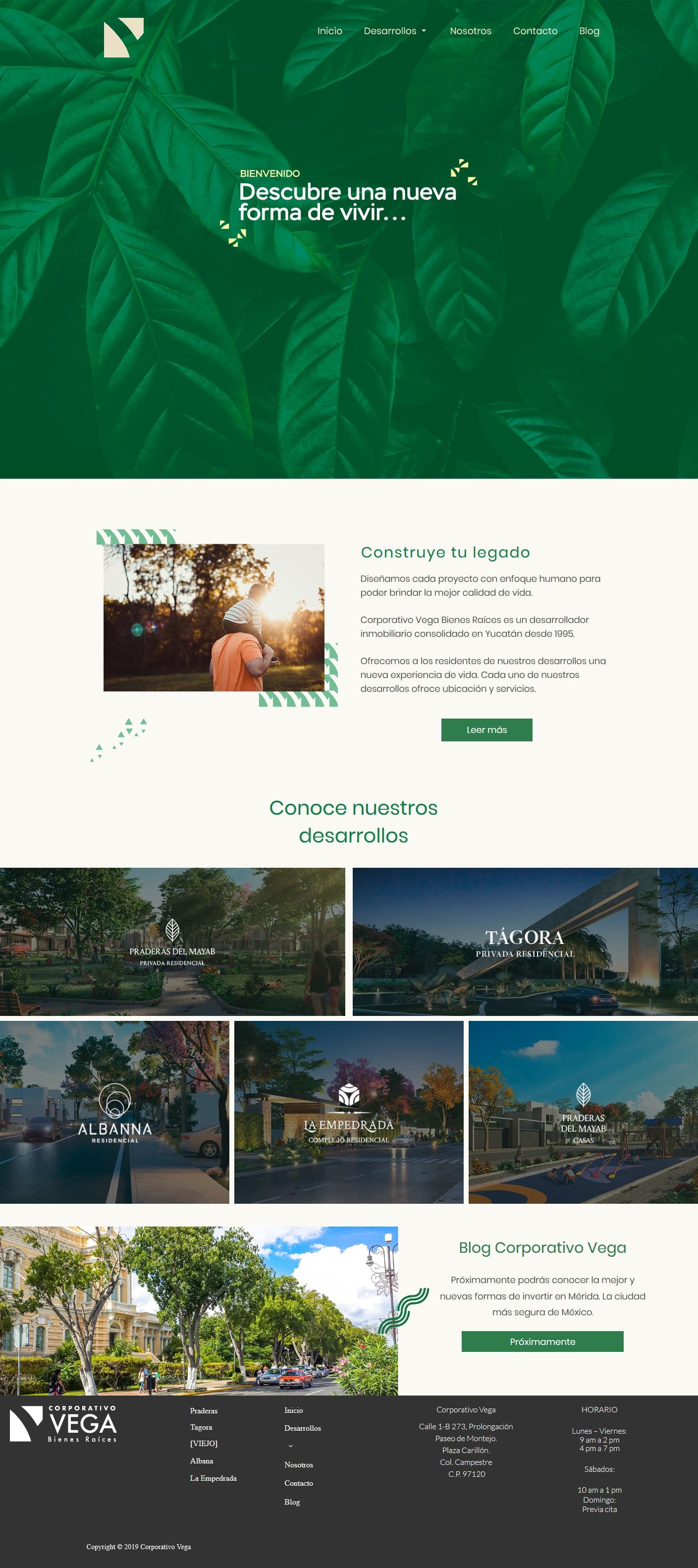 Main homepage presenting the company overview and branding.